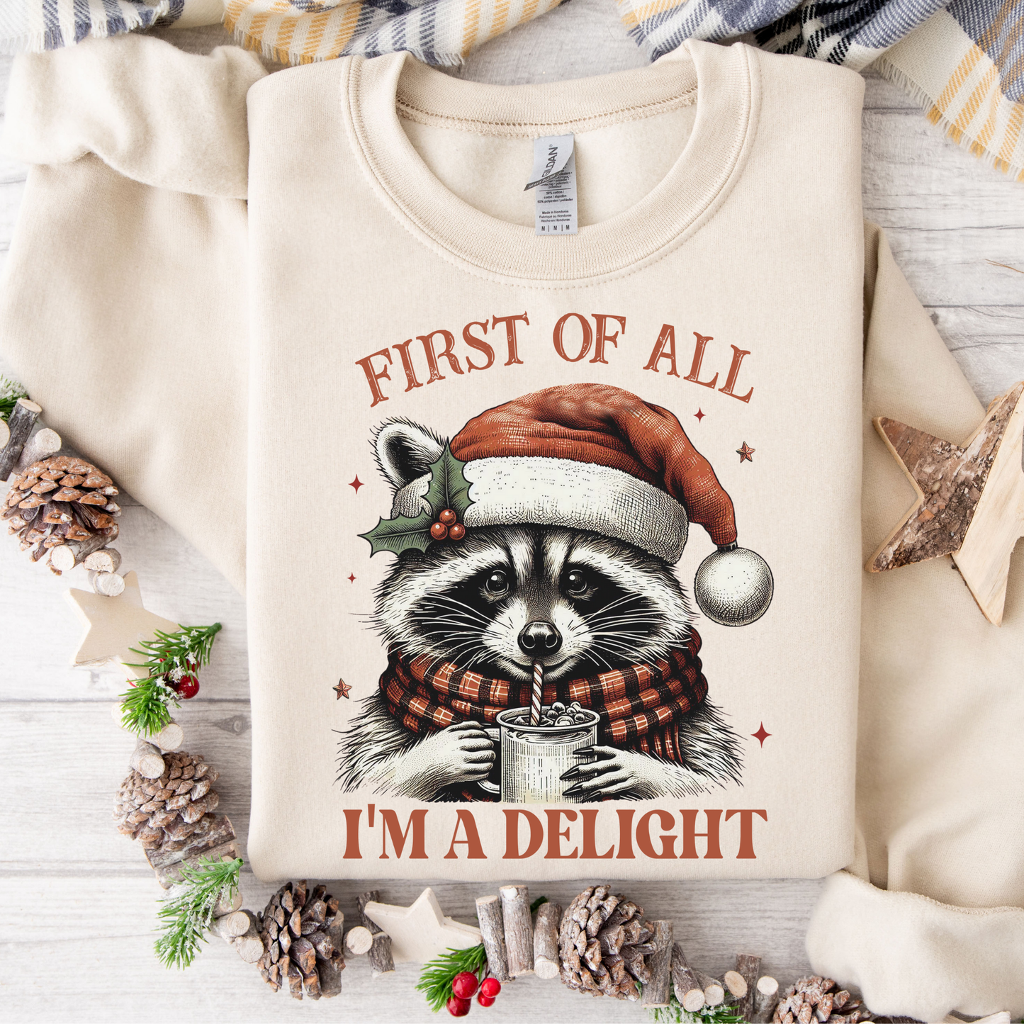 Delightful Raccoon Sweatshirt