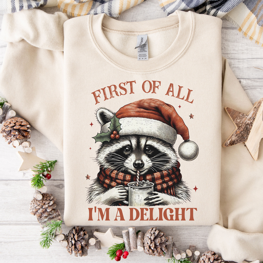 Delightful Raccoon Sweatshirt
